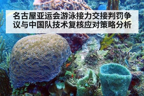 名古屋亚运会游泳接力交接判罚争议与中国队技术复核应对策略分析