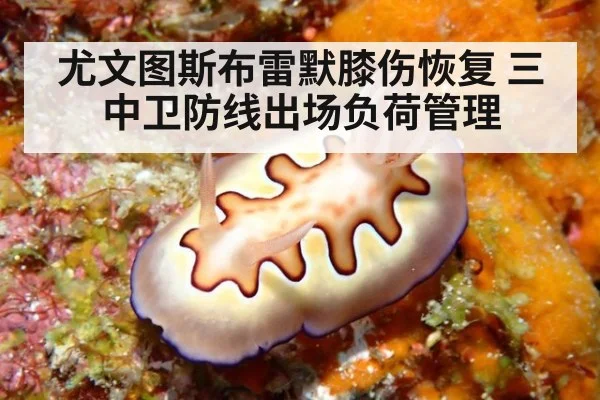 尤文图斯布雷默膝伤恢复 三中卫防线出场负荷管理